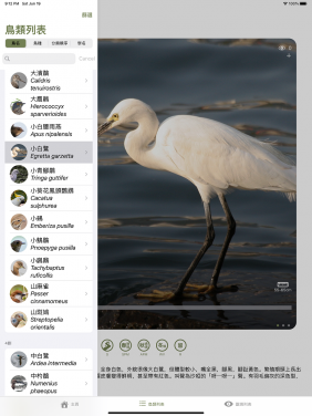 「HKBirds：香港鳥類」應用程式記錄了超過240種香港鳥種，包括大部分常見的雀鳥。